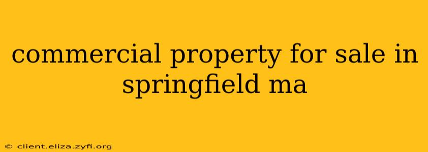 commercial property for sale in springfield ma