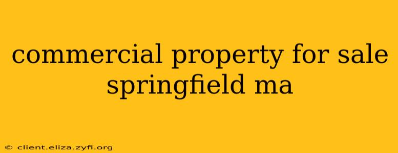 commercial property for sale springfield ma