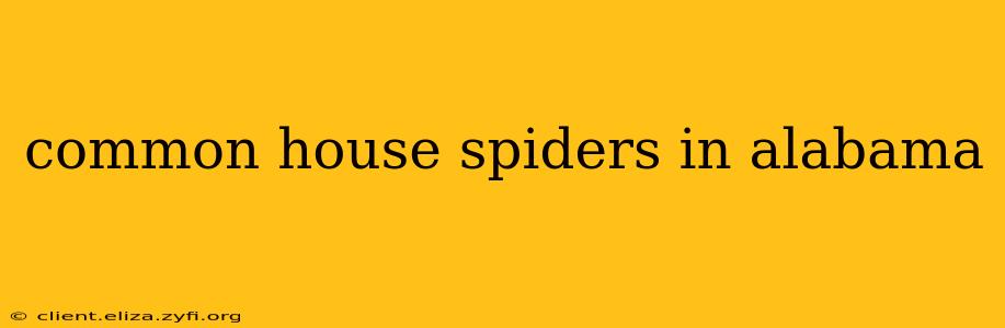 common house spiders in alabama