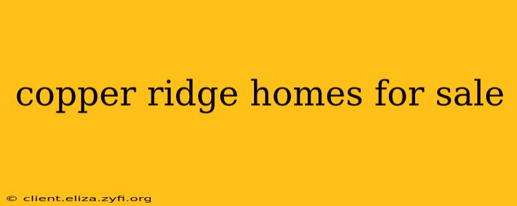 copper ridge homes for sale