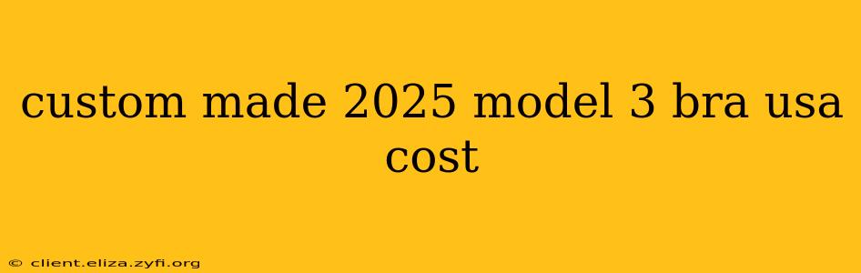 custom made 2025 model 3 bra usa cost