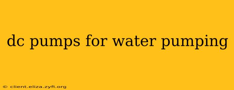dc pumps for water pumping