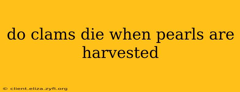 do clams die when pearls are harvested