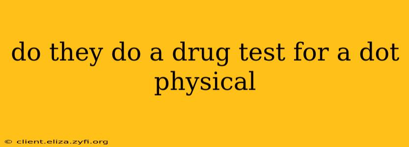 do they do a drug test for a dot physical