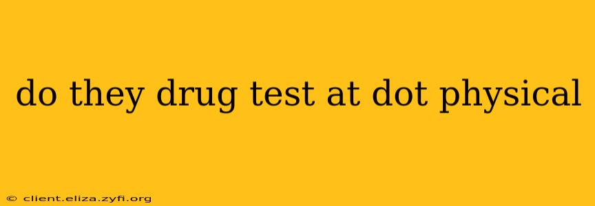 do they drug test at dot physical