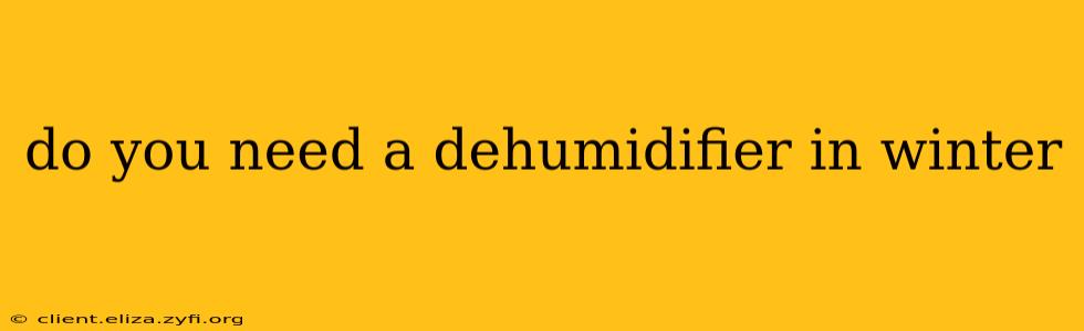do you need a dehumidifier in winter