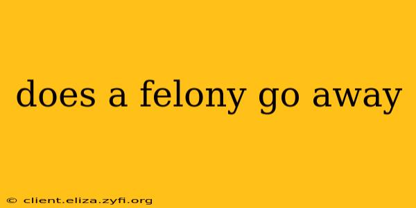 does a felony go away