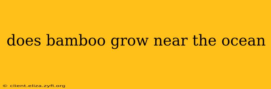 does bamboo grow near the ocean