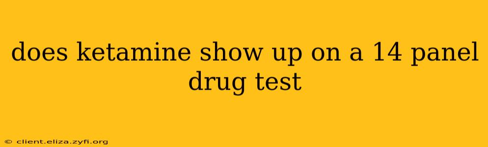 does ketamine show up on a 14 panel drug test