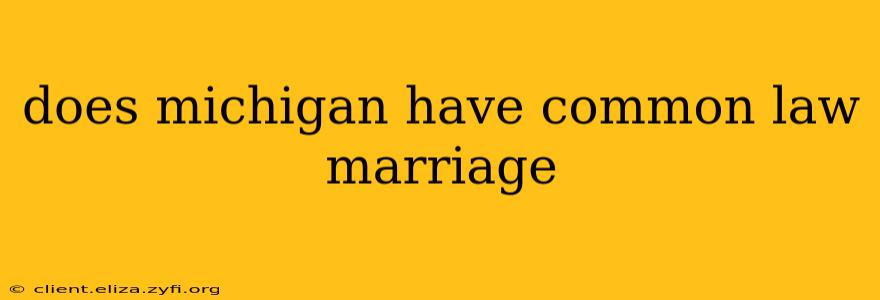 does michigan have common law marriage