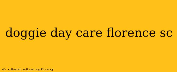 doggie day care florence sc