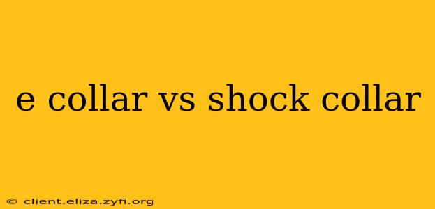 e collar vs shock collar