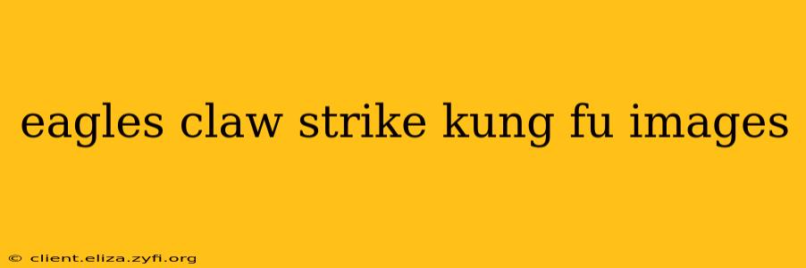 eagles claw strike kung fu images