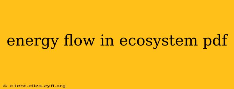 energy flow in ecosystem pdf