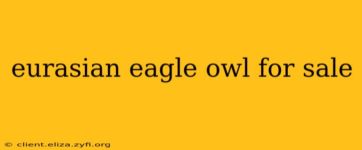 eurasian eagle owl for sale