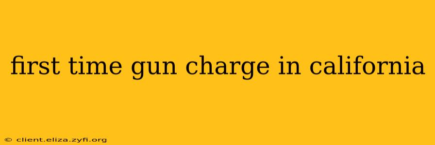 first time gun charge in california