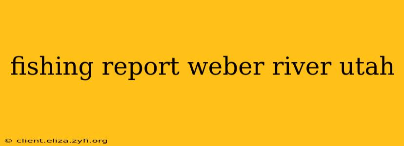 fishing report weber river utah
