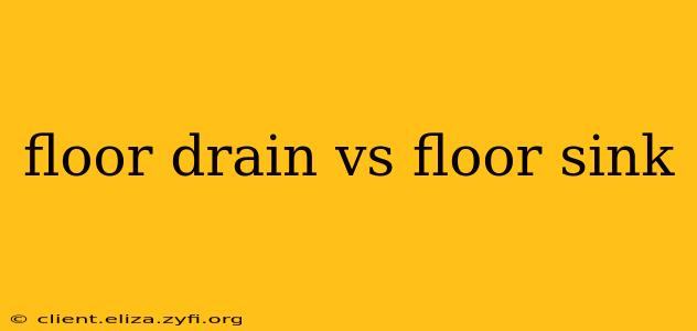 floor drain vs floor sink