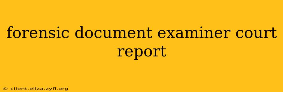 forensic document examiner court report