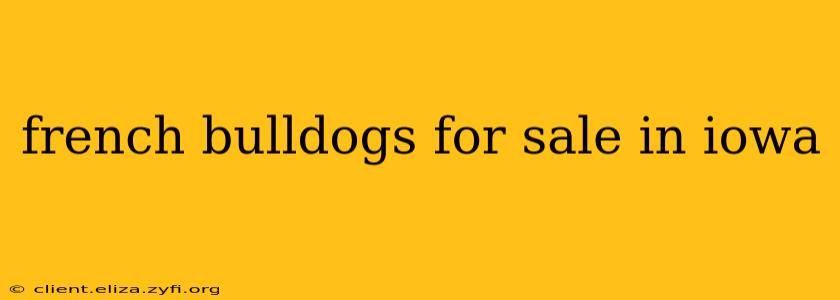 french bulldogs for sale in iowa
