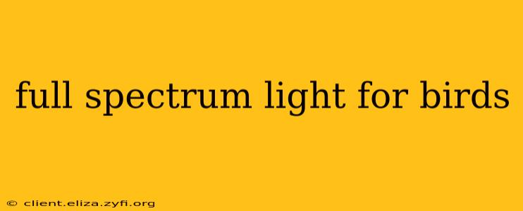 full spectrum light for birds