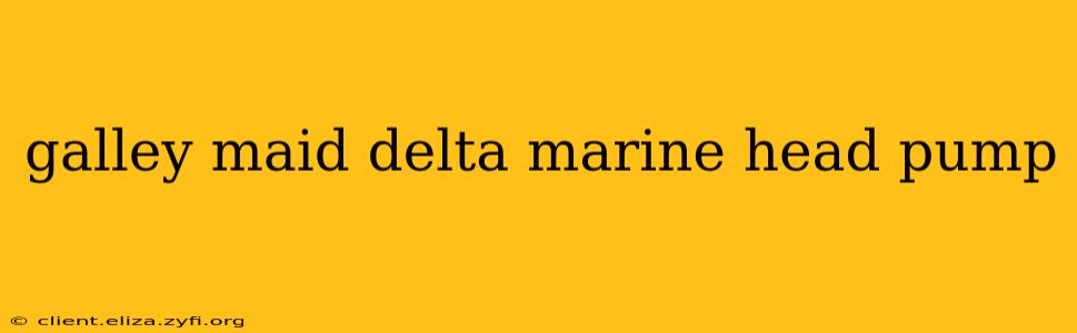galley maid delta marine head pump