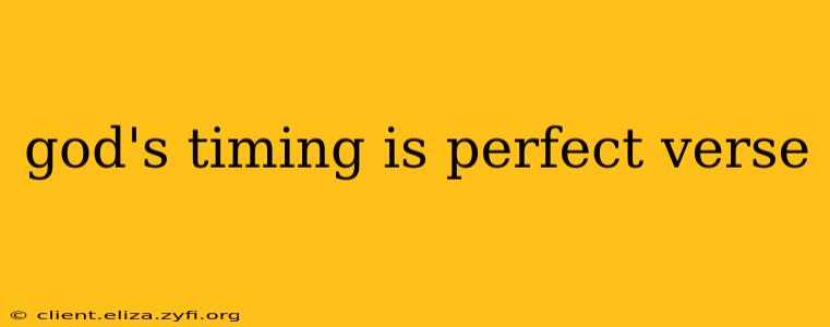 god's timing is perfect verse