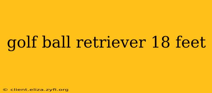golf ball retriever 18 feet
