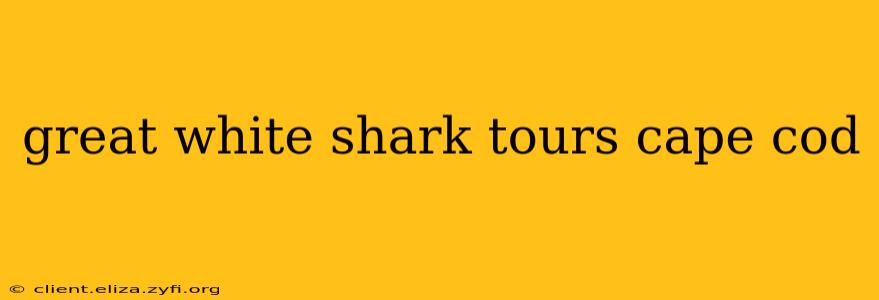 great white shark tours cape cod