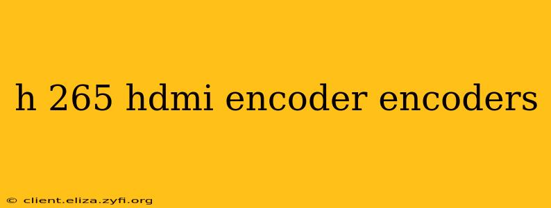 h 265 hdmi encoder encoders