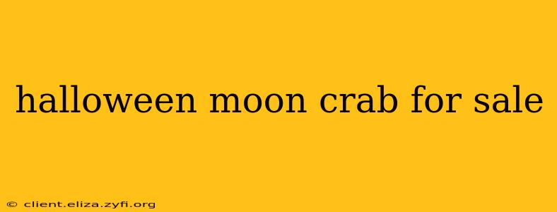 halloween moon crab for sale