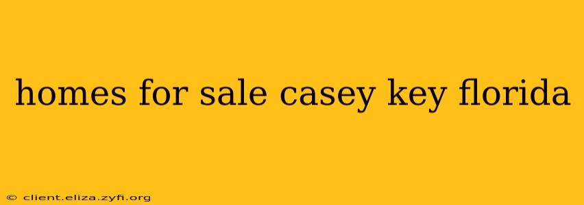 homes for sale casey key florida