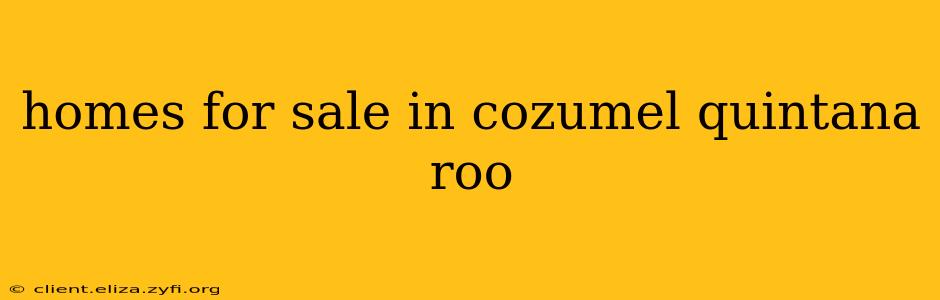 homes for sale in cozumel quintana roo