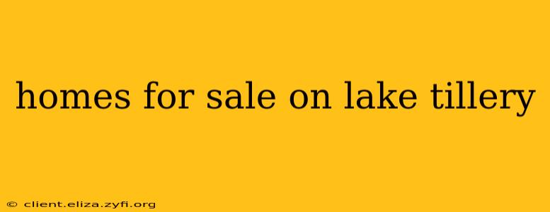 homes for sale on lake tillery