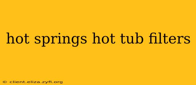 hot springs hot tub filters