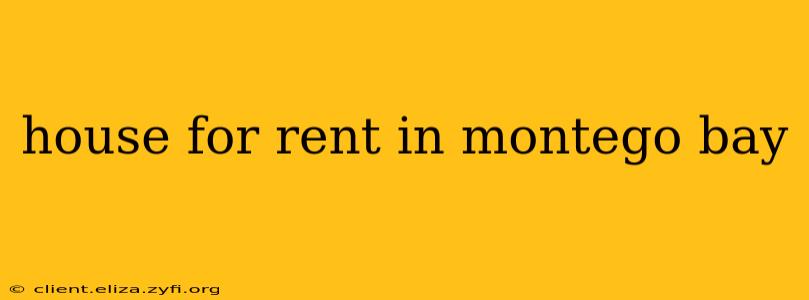 house for rent in montego bay