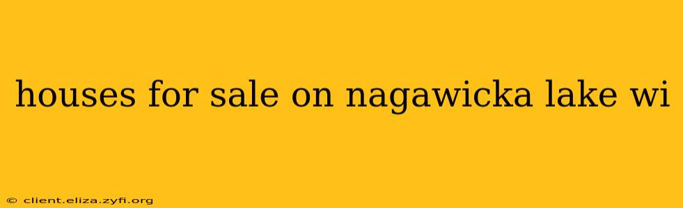 houses for sale on nagawicka lake wi
