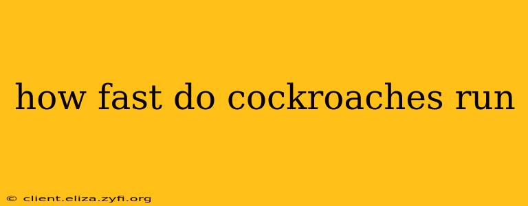 how fast do cockroaches run