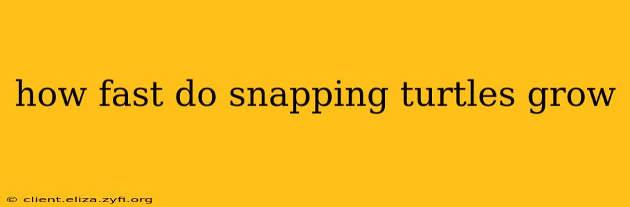 how fast do snapping turtles grow
