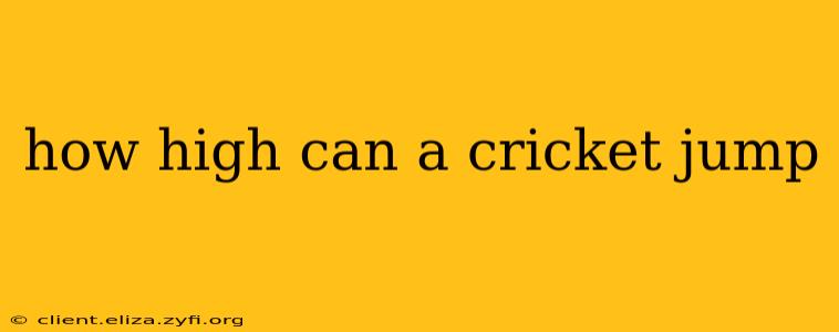 how high can a cricket jump