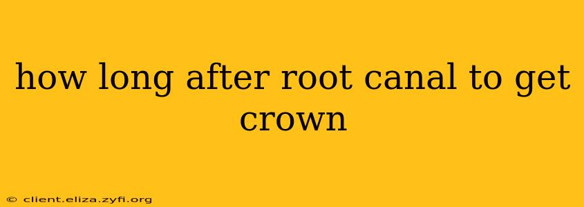 how long after root canal to get crown