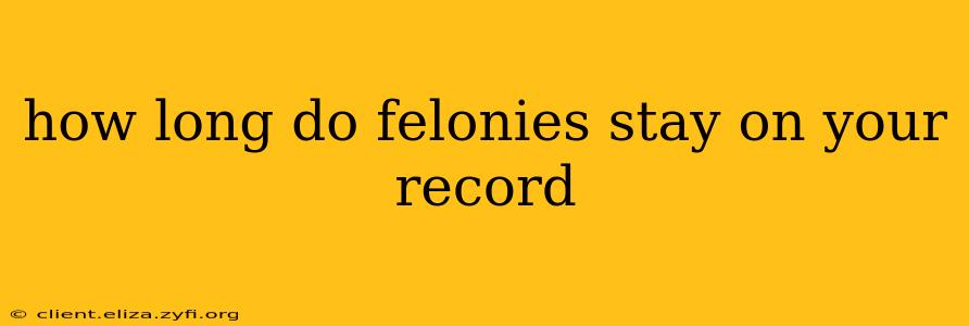 how long do felonies stay on your record