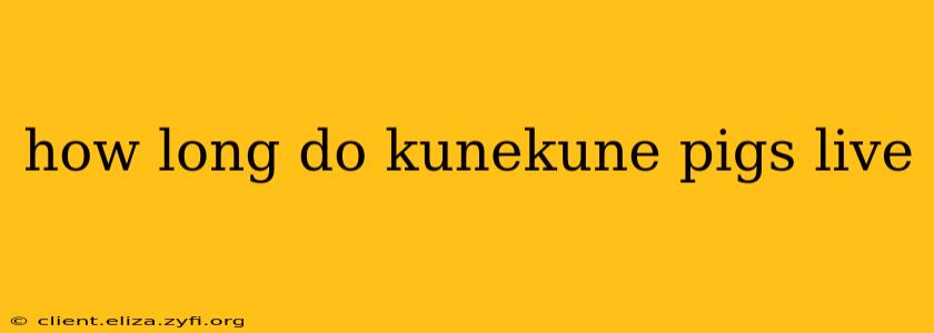 how long do kunekune pigs live