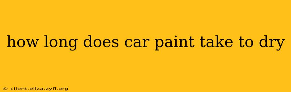 how long does car paint take to dry