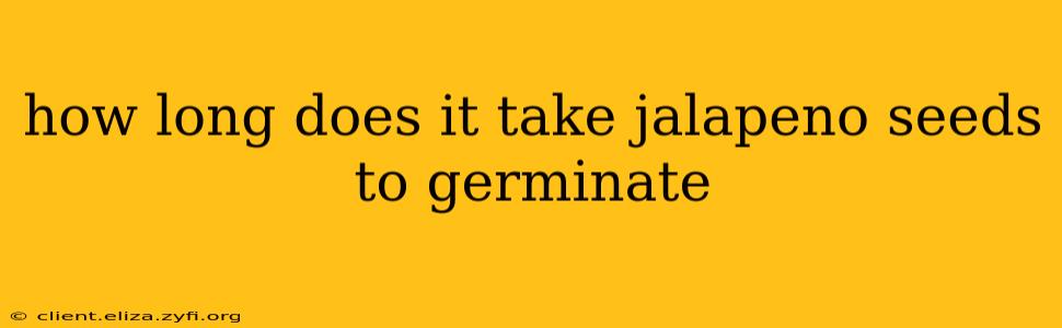how long does it take jalapeno seeds to germinate