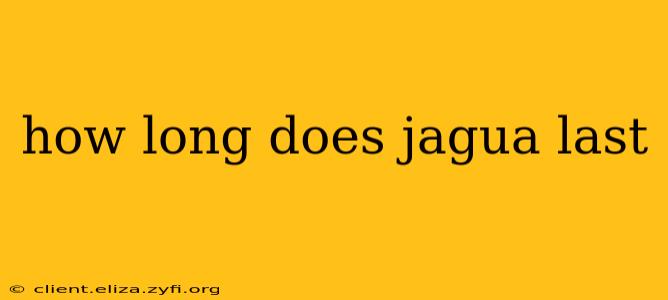 how long does jagua last