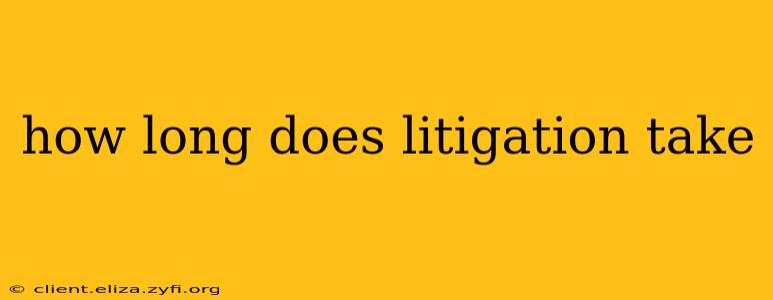 how long does litigation take
