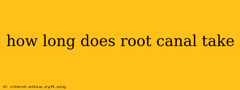 how long does root canal take