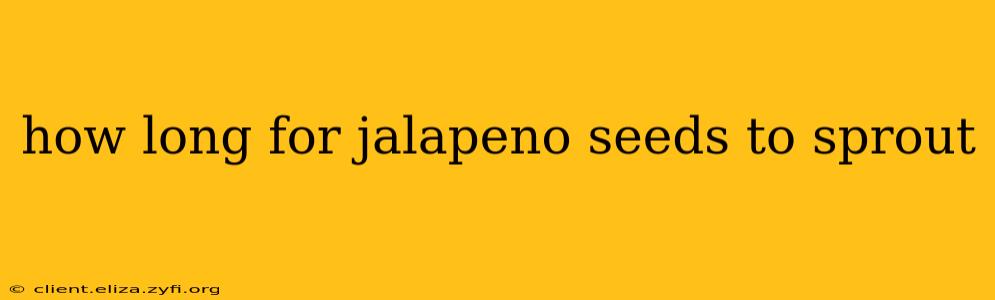 how long for jalapeno seeds to sprout