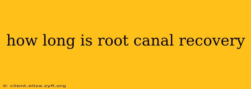 how long is root canal recovery